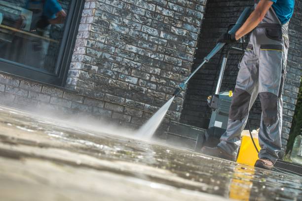 Professional Pressure Washing Services in Pasadena Hills, FL